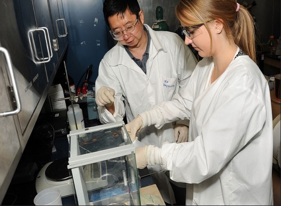 ￼go.usa.gov/dj0, 2015 ￼